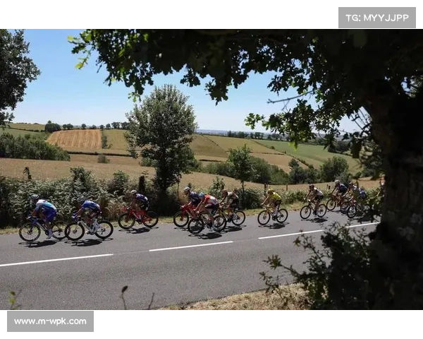 广宗县推出AI虚拟骑行平台 精准还原环法经典赛段体验 广宗县推出AI虚拟骑行平台 精准还原环法经典赛段体验